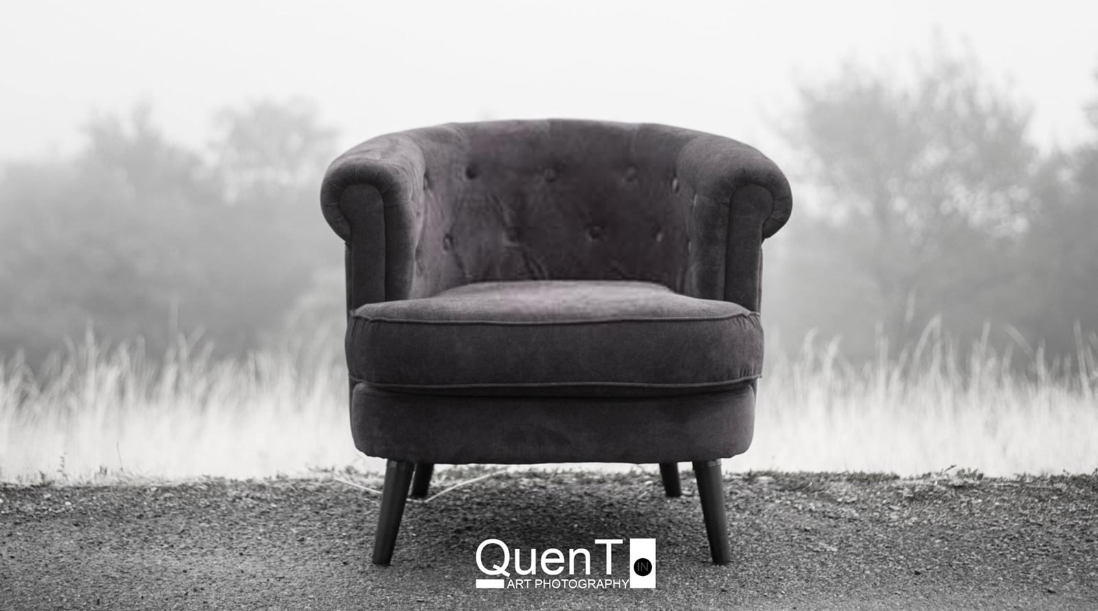 Le fauteuil de QuenT. s’installe à Dijon : venez prendre la pose
