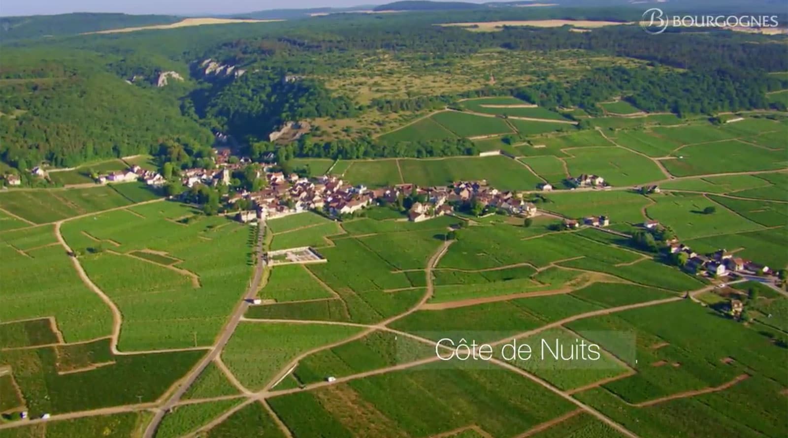 VIDÉO : Le vignoble de Bourgogne vu du ciel