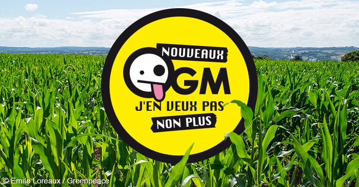 OGM J'en veux pas non plus © Greenpeace