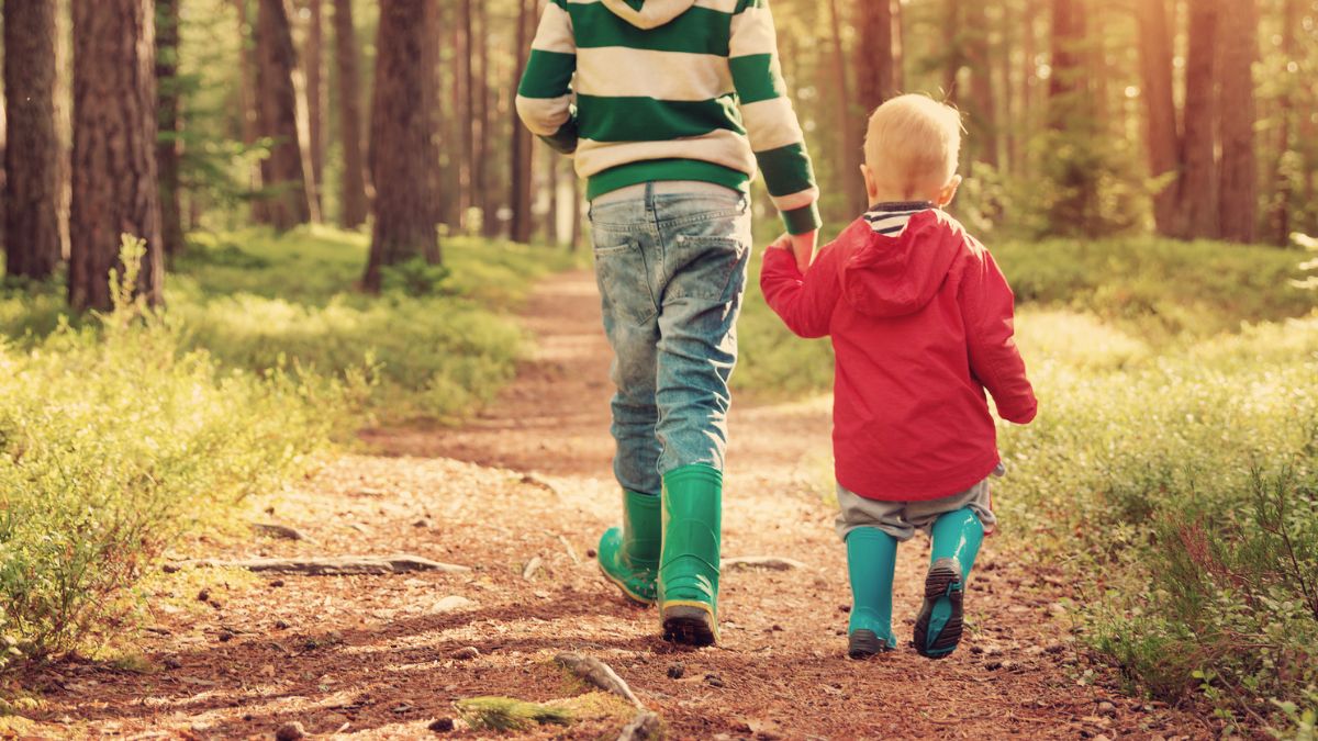 Une Balade En Forêt Pour Les Enfants ça Vous Tente Jaime Dijon