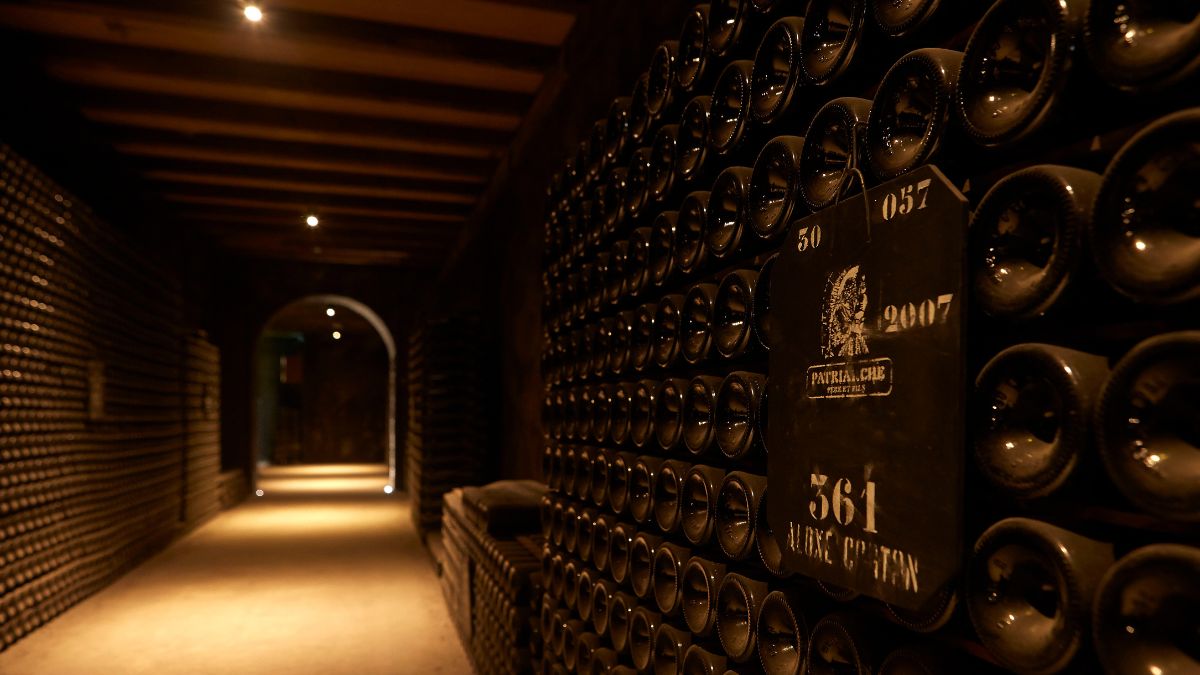Caves Patriarche Père et Fils : un incontournable pour les amateurs de vin