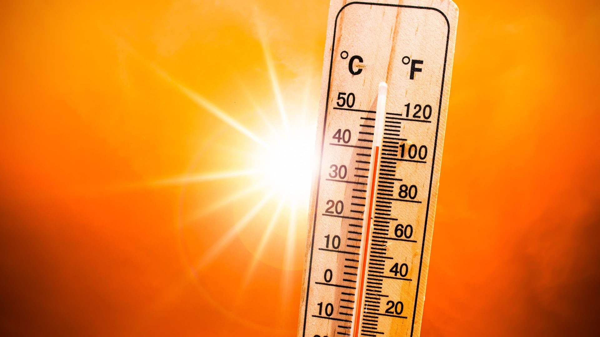 Lundi 21 août 2023 : la journée la plus chaude jamais mesurée après un 15 août