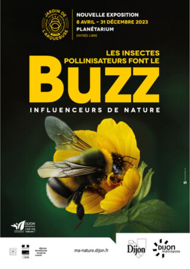 Les insectes pollinisateurs font le Buzz