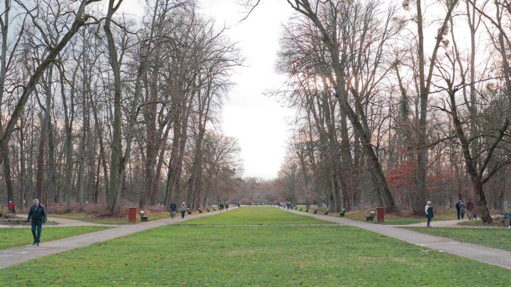 Météo à Dijon du 1er au 7 janvier 2024