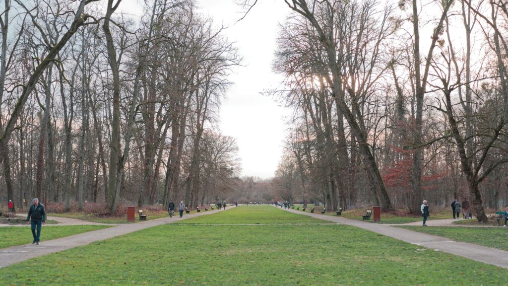 Rumeurs de parc photovoltaïque à Dijon : la ville dément