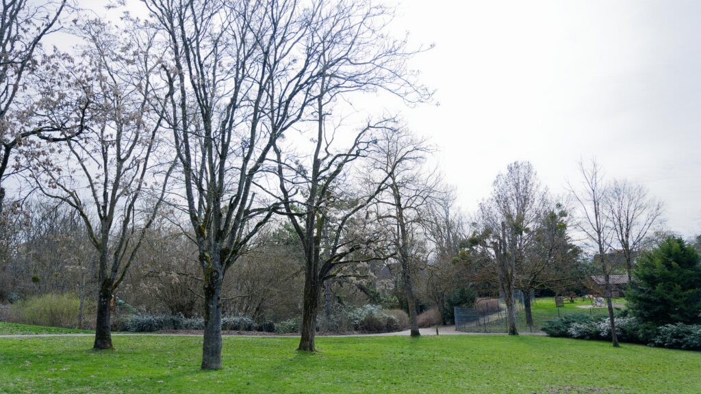 Météo à Dijon du 26 février au 3 mars 2024