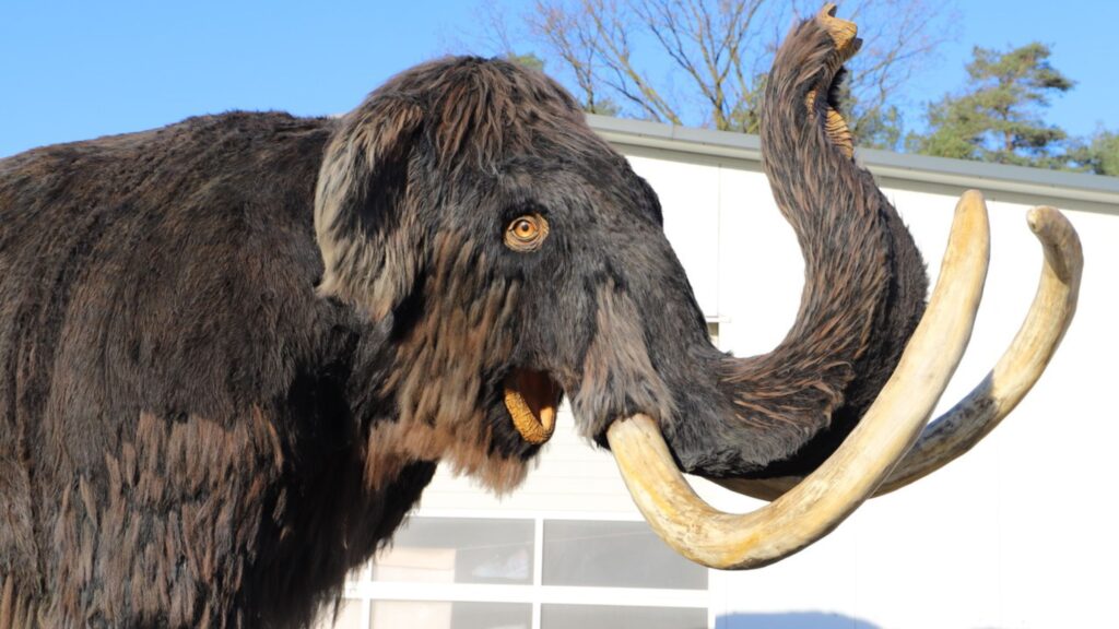 Vacances d'hiver : réouverture du parc Dino-Zoo