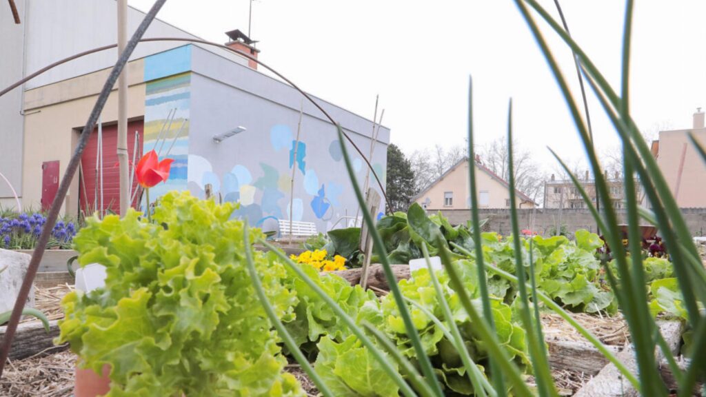 Un projet immobilier cède la place à des jardins partagés