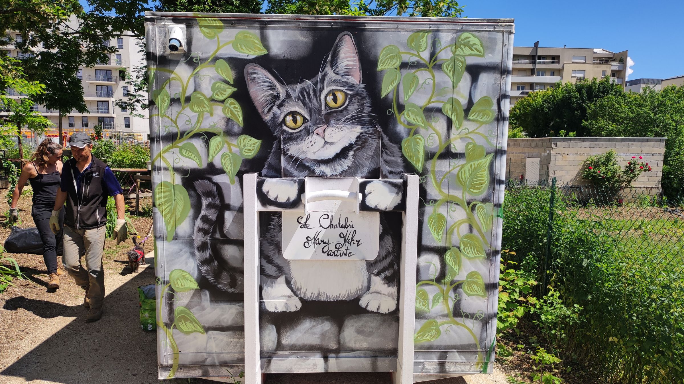Le Chatabri : une maison sociale pour chats à Dijon !