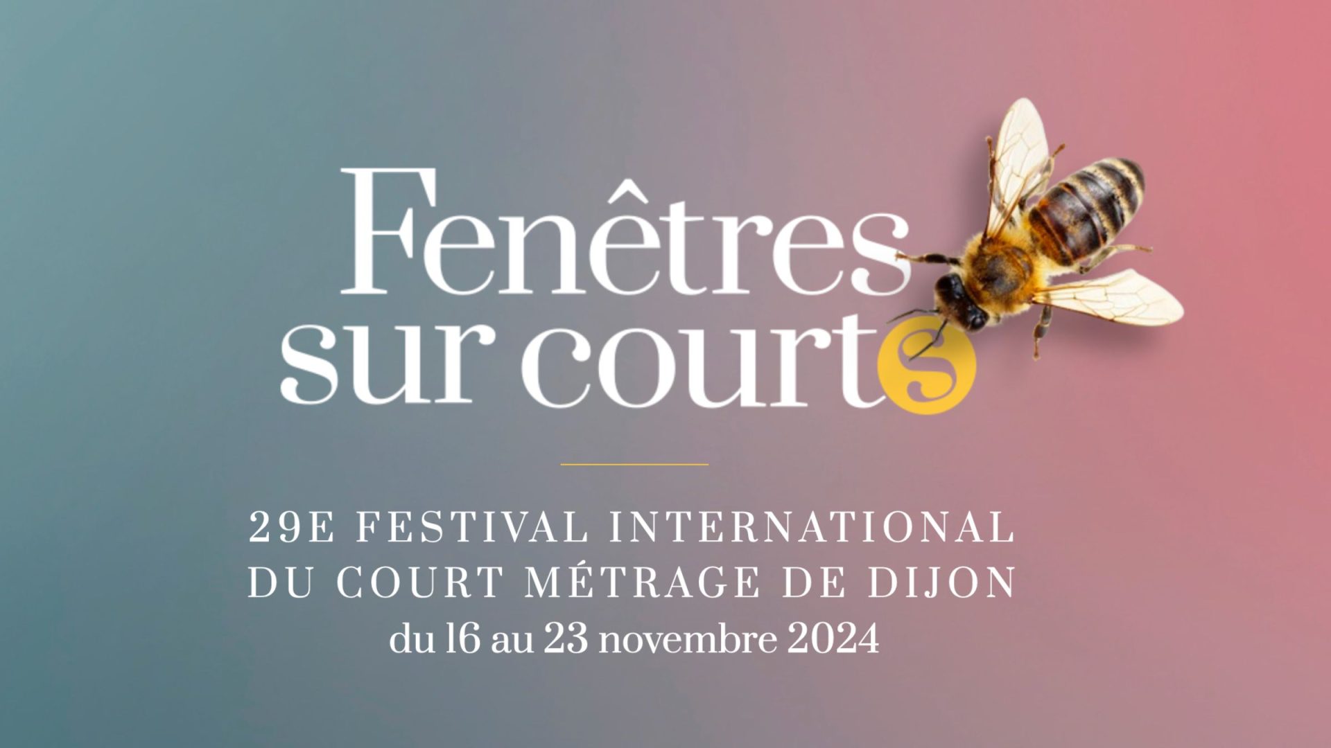 Le festival Fenêtres sur courts dans 7 lieux culturels à Dijon cet automne