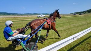 Courses hippiques de Vitteaux. Rendez-vous ce dimanche 7 juillet !