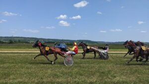 Courses hippiques de Vitteaux. Rendez-vous ce dimanche 7 juillet !