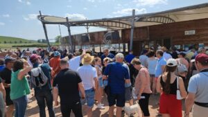 Courses hippiques de Vitteaux. Rendez-vous ce dimanche 7 juillet !