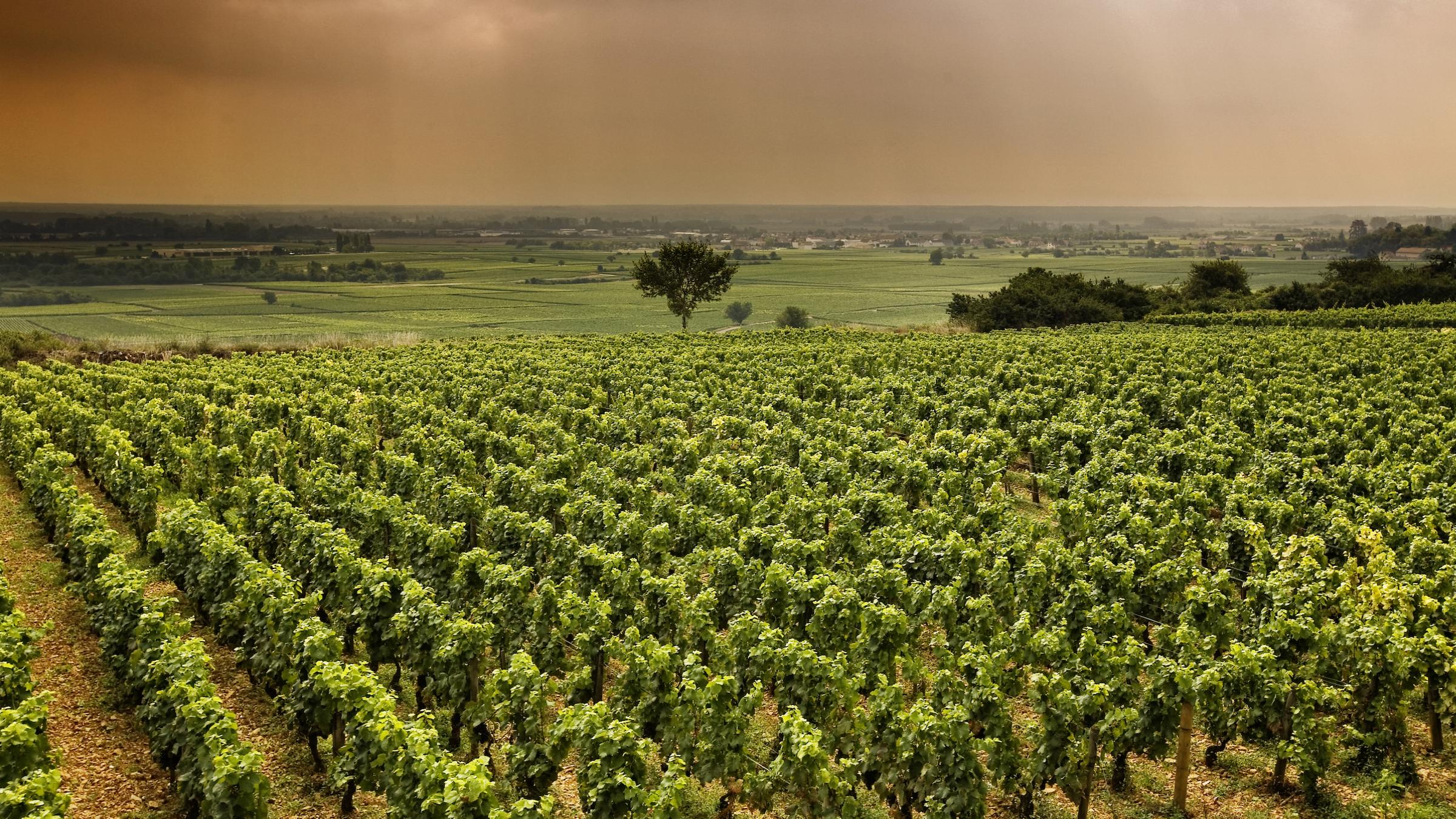 L'info du matin du jeudi 1er août 2024