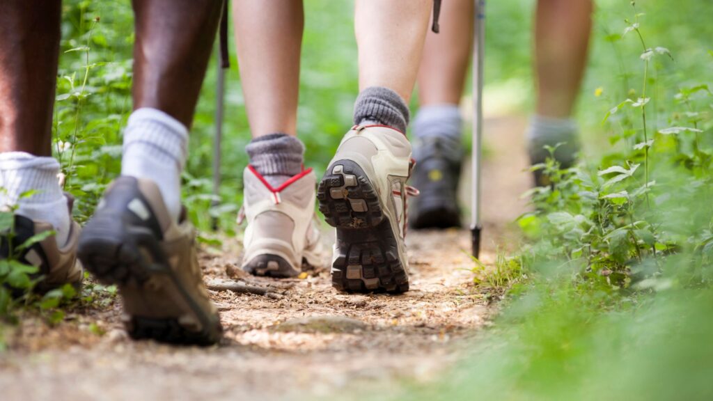 Super-rando et pique-nique à Auberive avec le Parc national de forêts