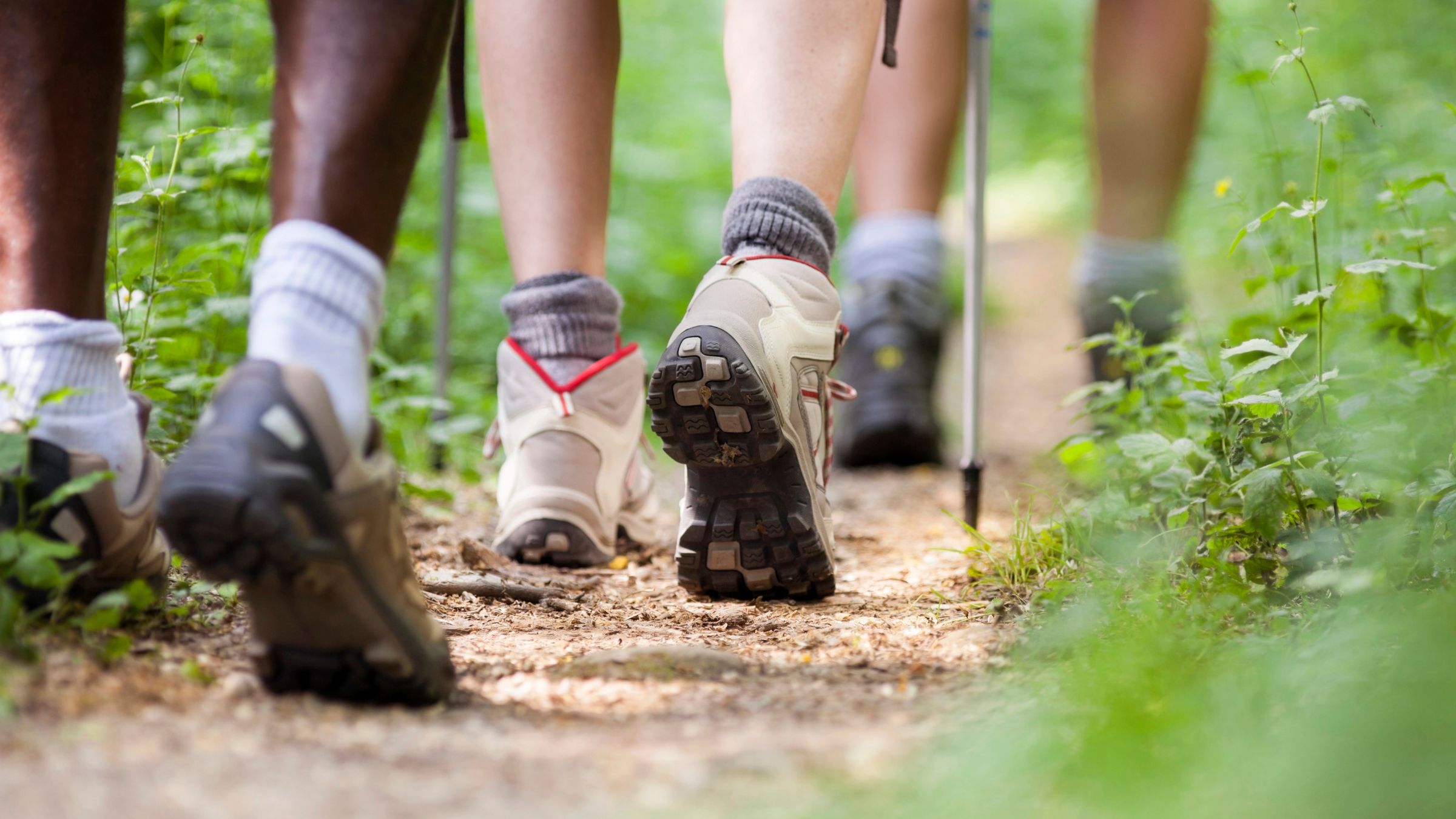 Super-rando et pique-nique à Auberive avec le Parc national de forêts