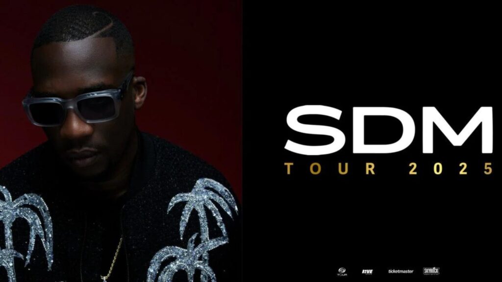 Le rappeur SDM en concert au Zénith de Dijon