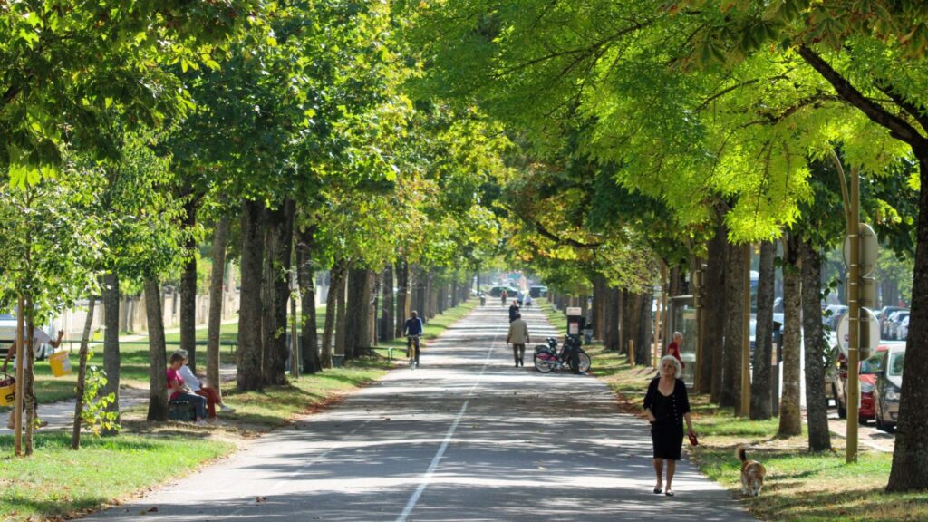 L'info du matin du vendredi 13 septembre