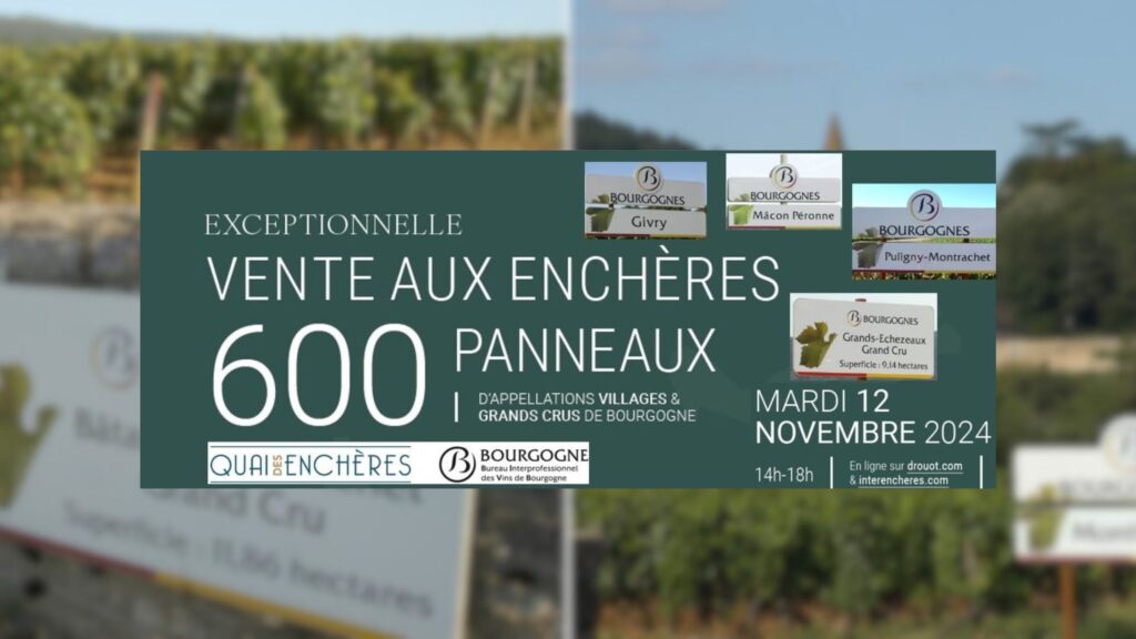 Vin. Une vente aux enchères en ligne de 600 anciens panneaux d'appellation