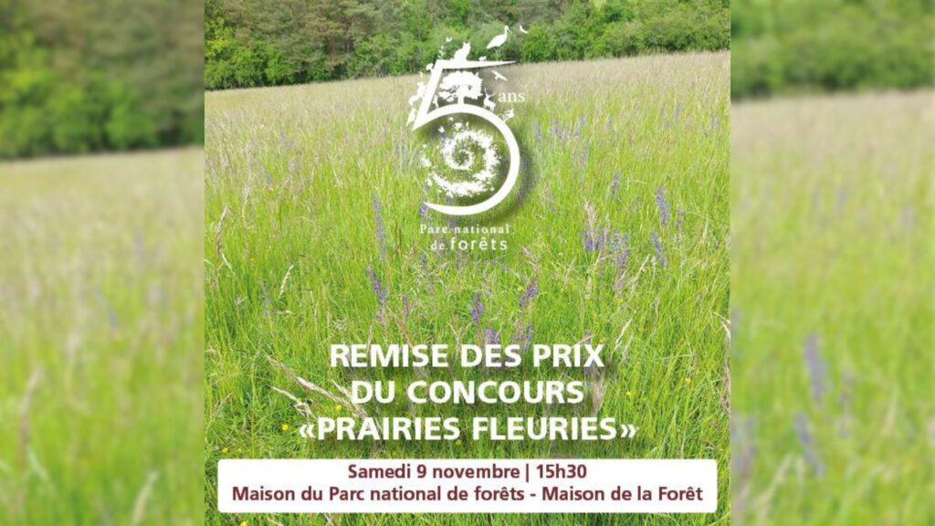 Parc national de forêts. Qui obtiendra le Prix de l'équilibre Agroécologique ?