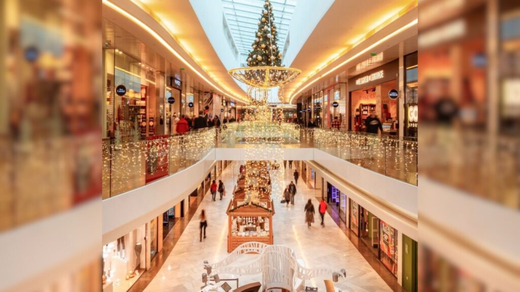 Noël. Le sapin et les guirlandes arrivent bientôt à la Toison d'Or