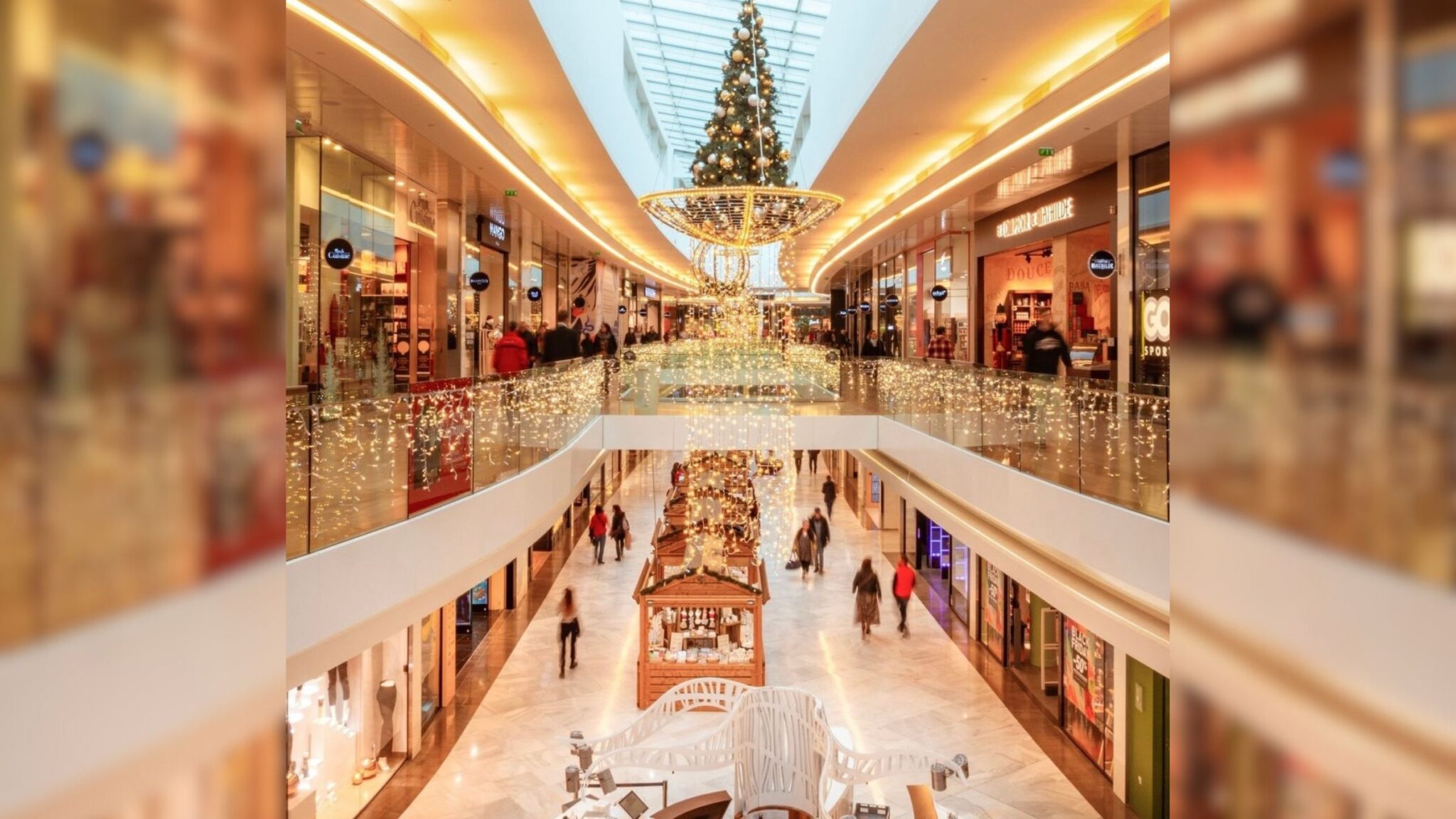 Noël. Le sapin et les guirlandes arrivent bientôt à la Toison d'Or