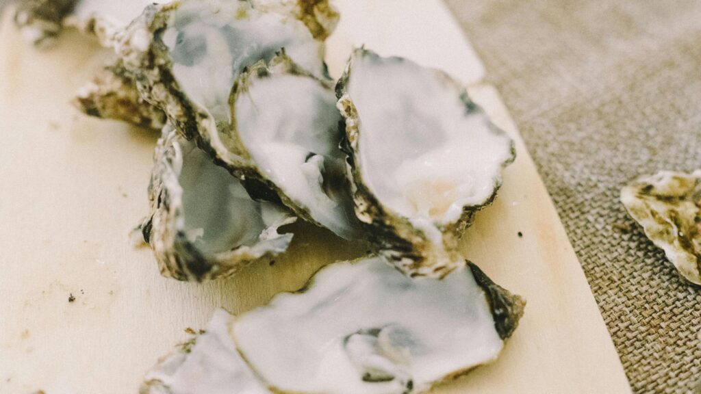 Chevigny collecte les coquilles d'huîtres, de crustacés et d'escargots