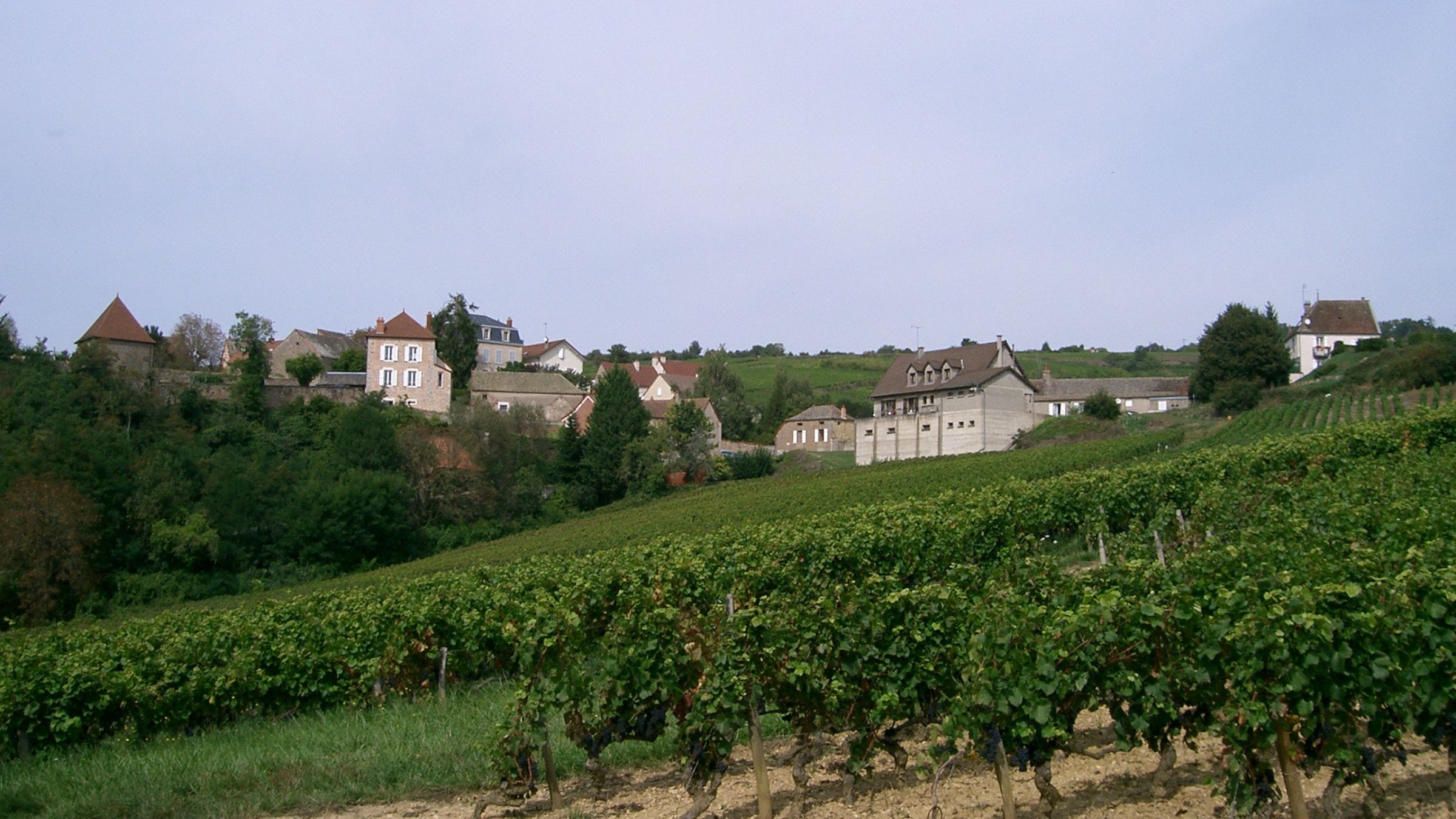 Les Maranges accueilleront la Saint-Vincent Tournante 2026