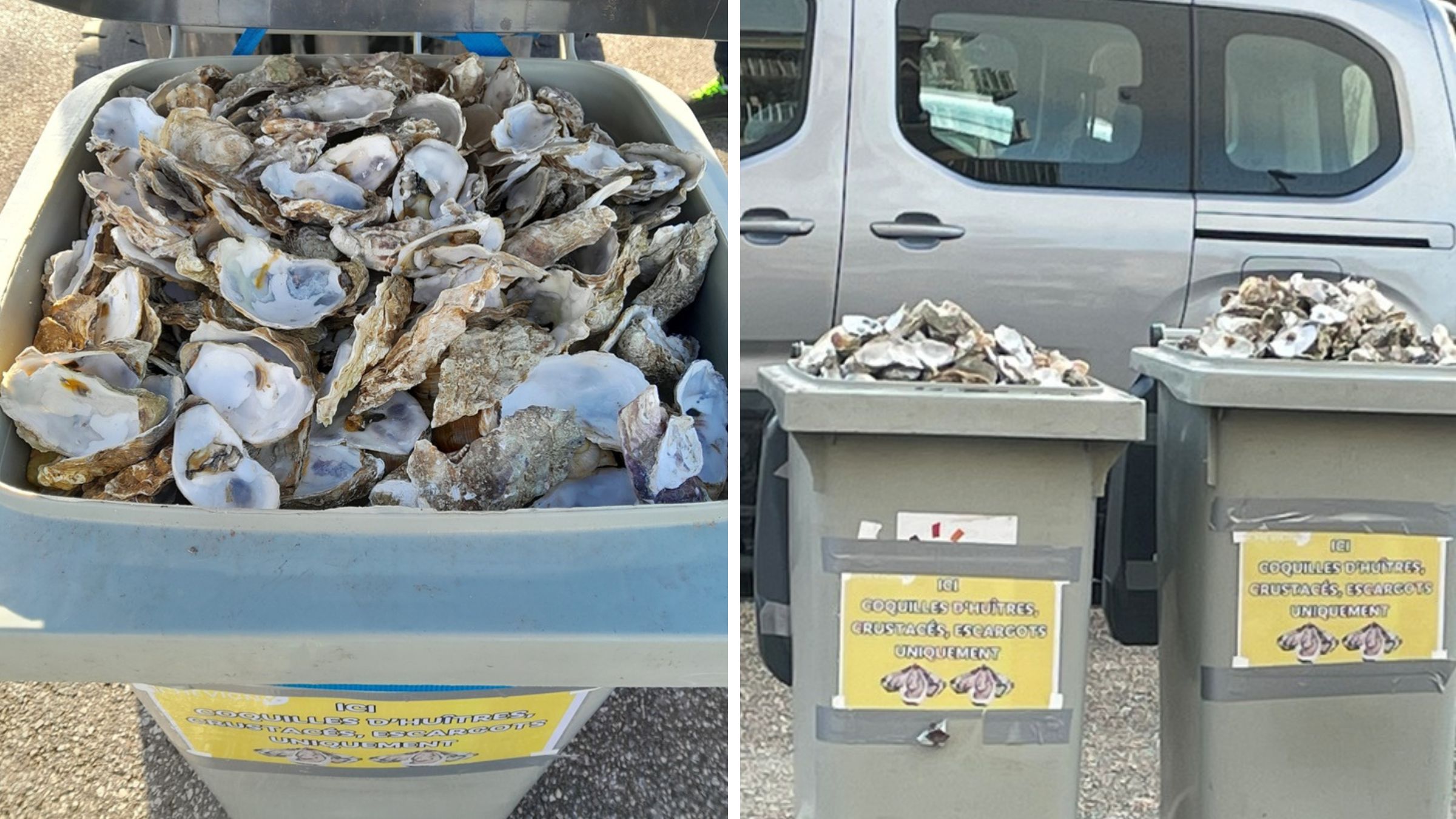 Chevigny a collecté 1,5 tonne de coquilles d'huîtres, de crustacés et d'escargots