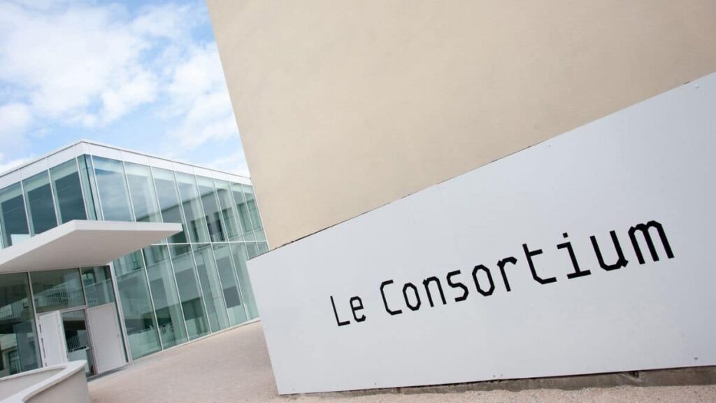 Que faire au Consortium Museum en février 2025 ?
