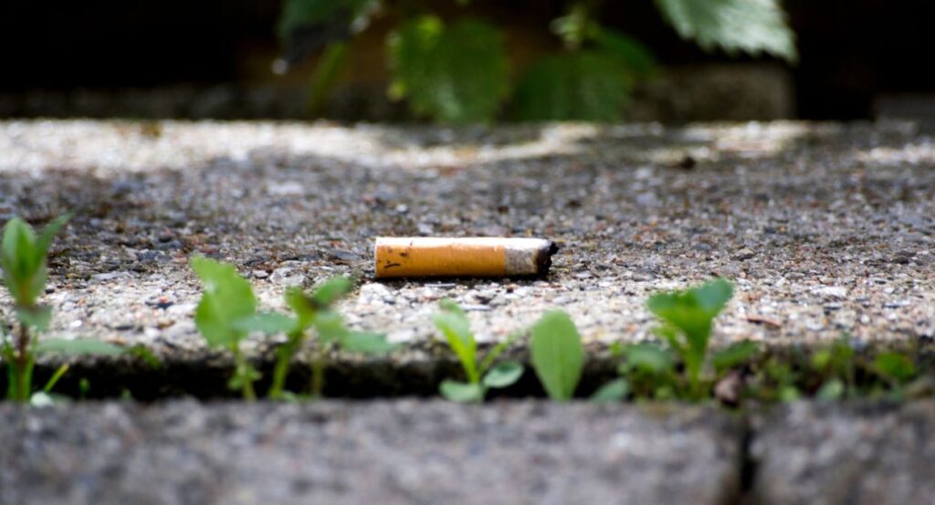 Dijon passe à l’action avec le Mégothon