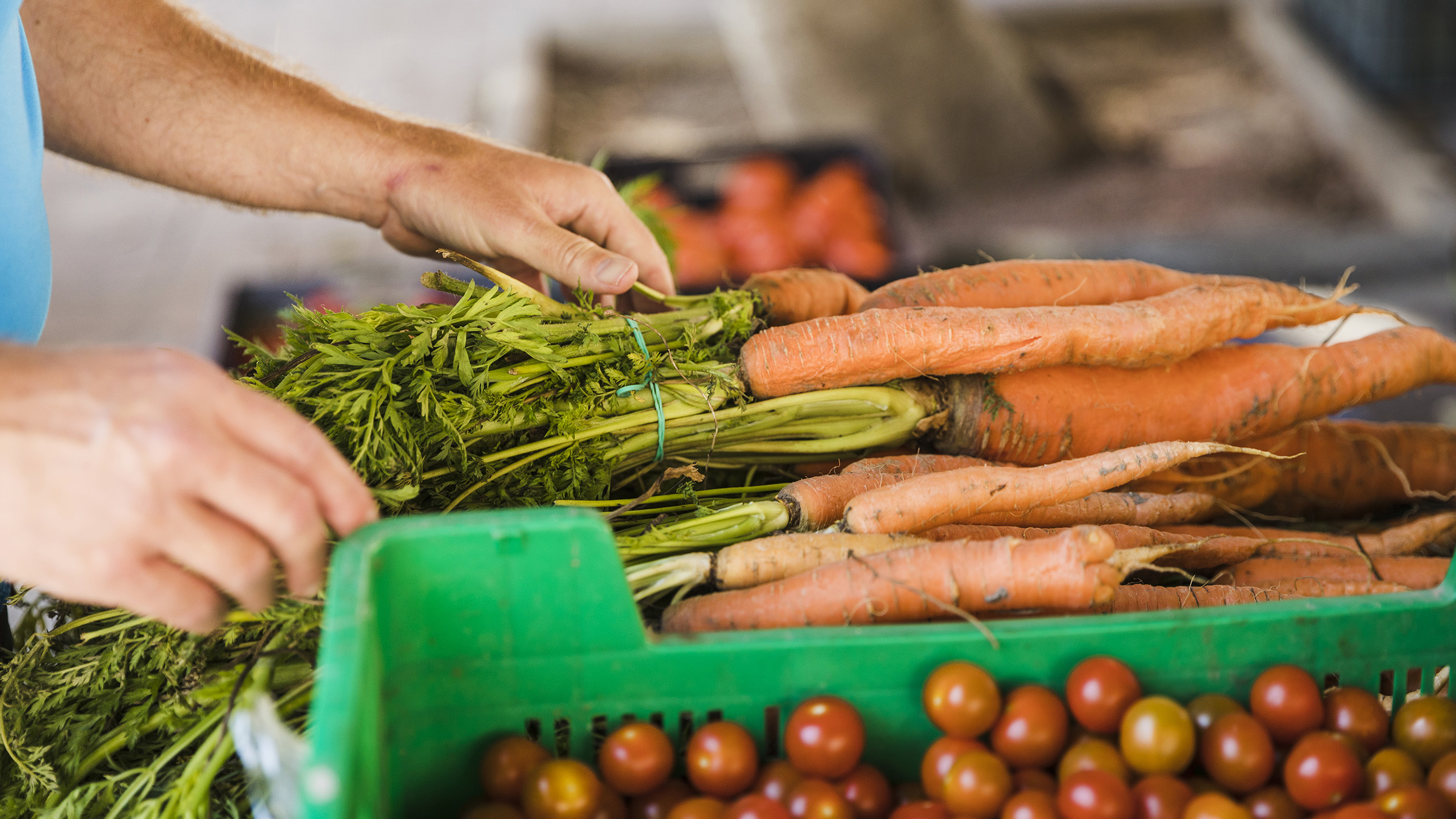 La Communauté de Communes Norge et Tille organise sa Semaine de l'Alimentation