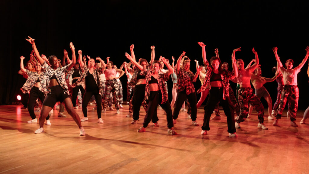 Le Mixity Show III est organisé par le MIXITY CREW, les élèves de l’association AUDACE, ainsi que les élèves du DH Studio