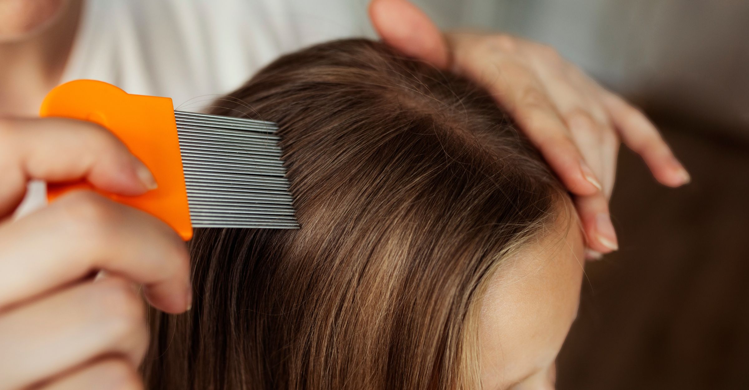 Zou les Poux : un nouveau centre anti-poux vient d’ouvrir à Dijon