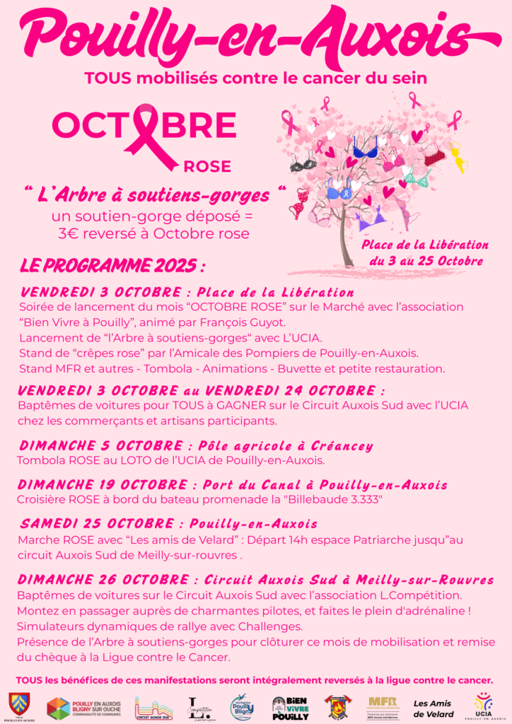 Octobre rose : une journée caritative au circuit Auxois sud