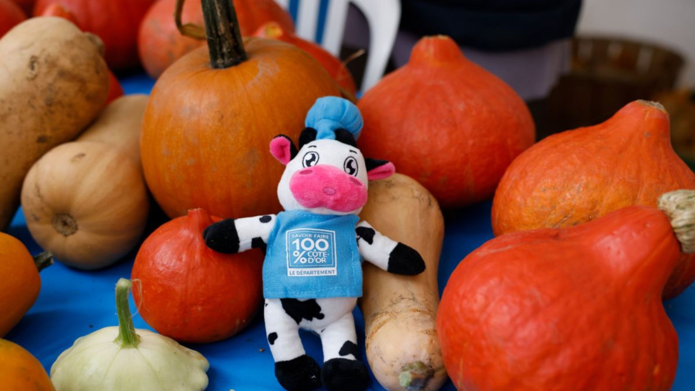 Le Marché d’automne 100 % Côte-d’Or revient à Dijon