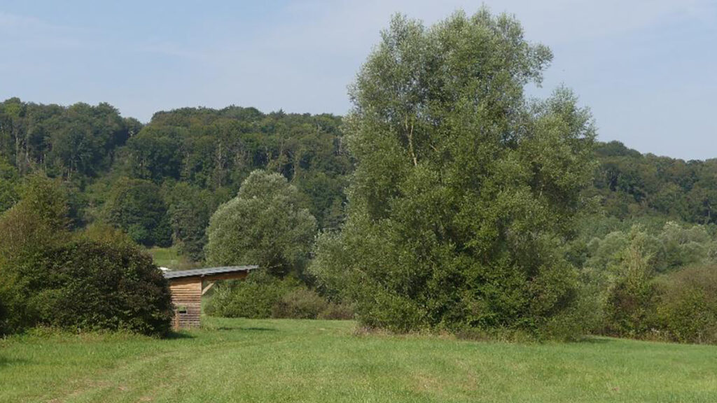 Halte équestre à Montrot (Arc-en-Barrois)