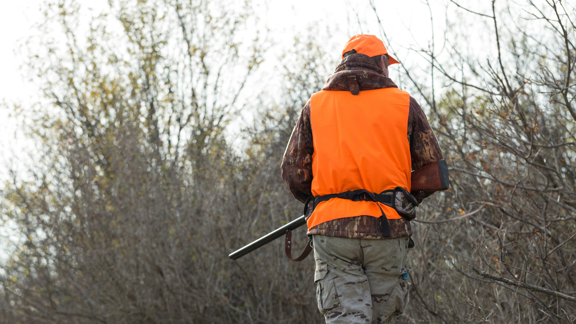 Opération de chasse à la Combe à la Serpent : circulation restreinte