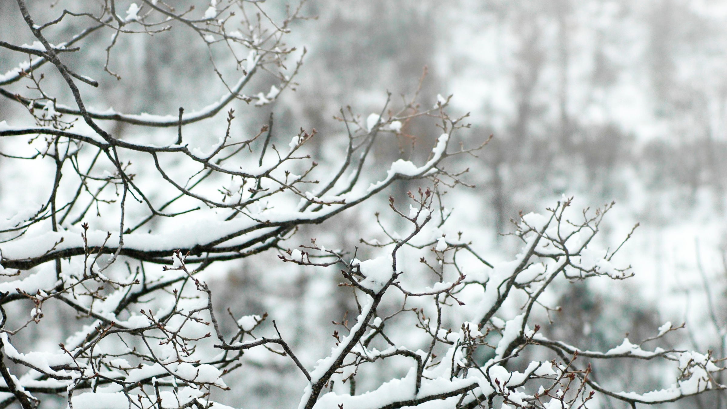 Neige et verglas : la Côte-d’Or en vigilance jaune ce mercredi soir