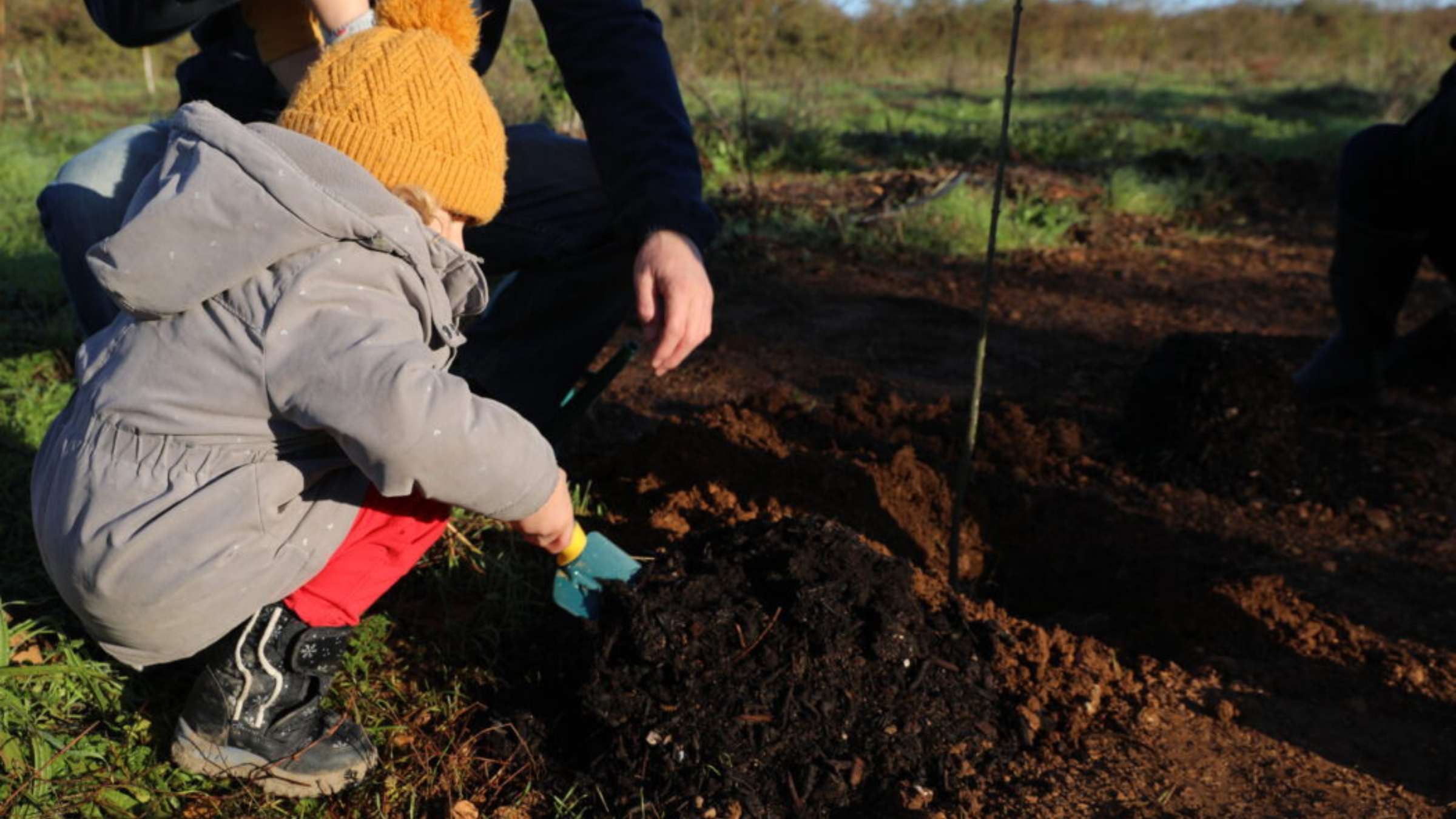 La Forêt des Enfants : un grand rendez-vous nature à Dijon