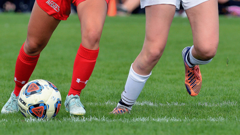 France – Pologne : les Bleues de retour au stade Gaston-Gérard
