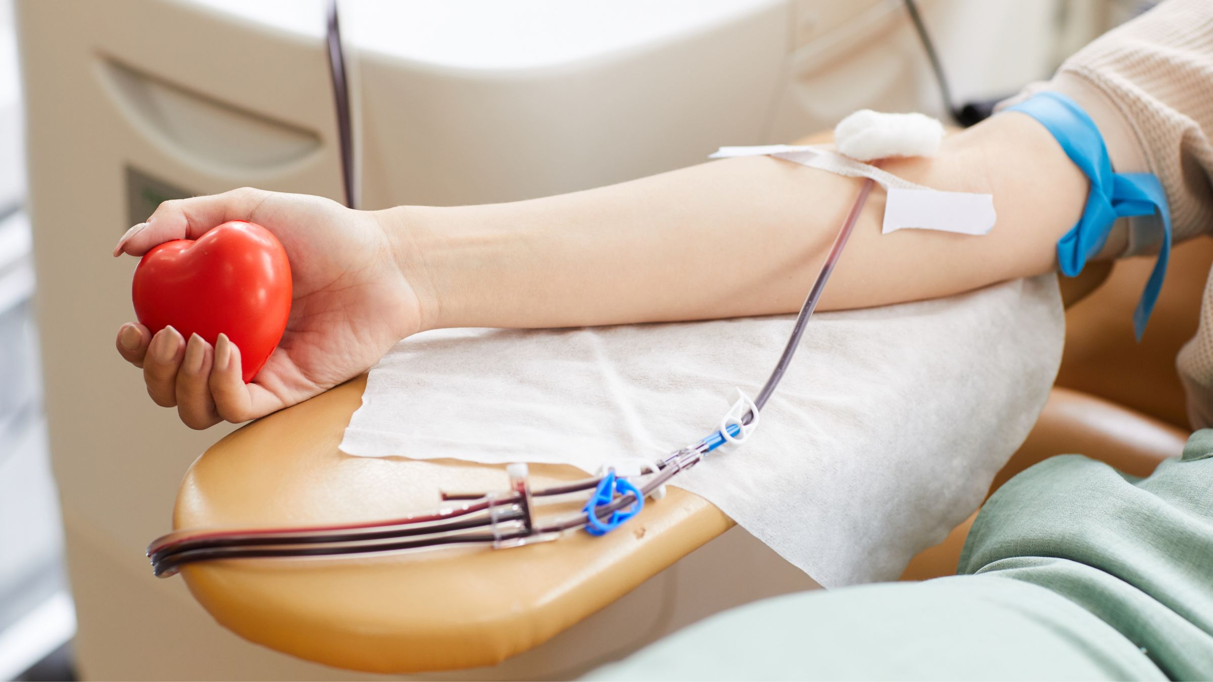 Don de sang à Chenôve : Le Cèdre ouvre ses portes aux donneurs