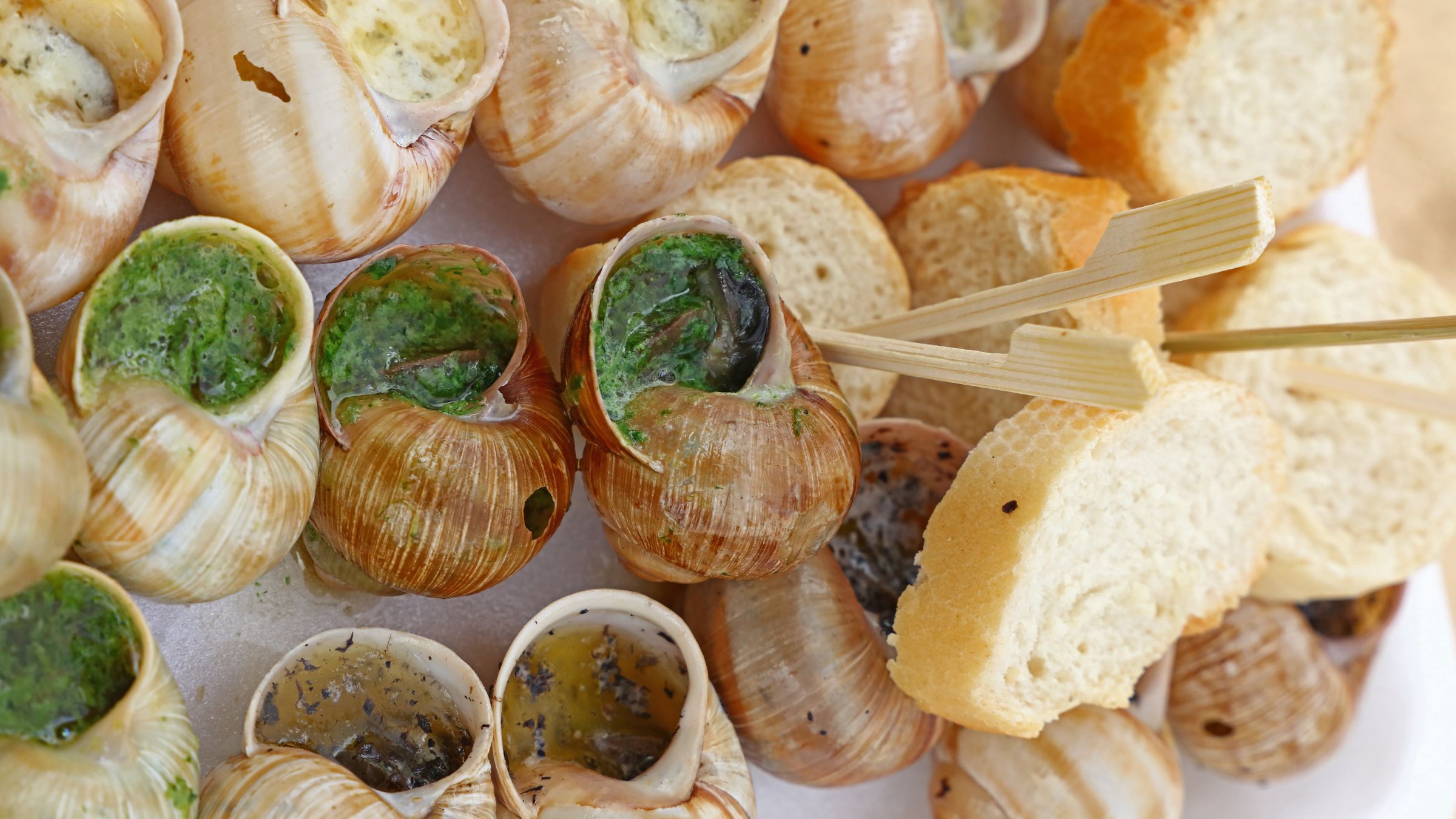 La Fête de l’Escargot fête ses 10 ans à Chevigny-Saint-Sauveur !