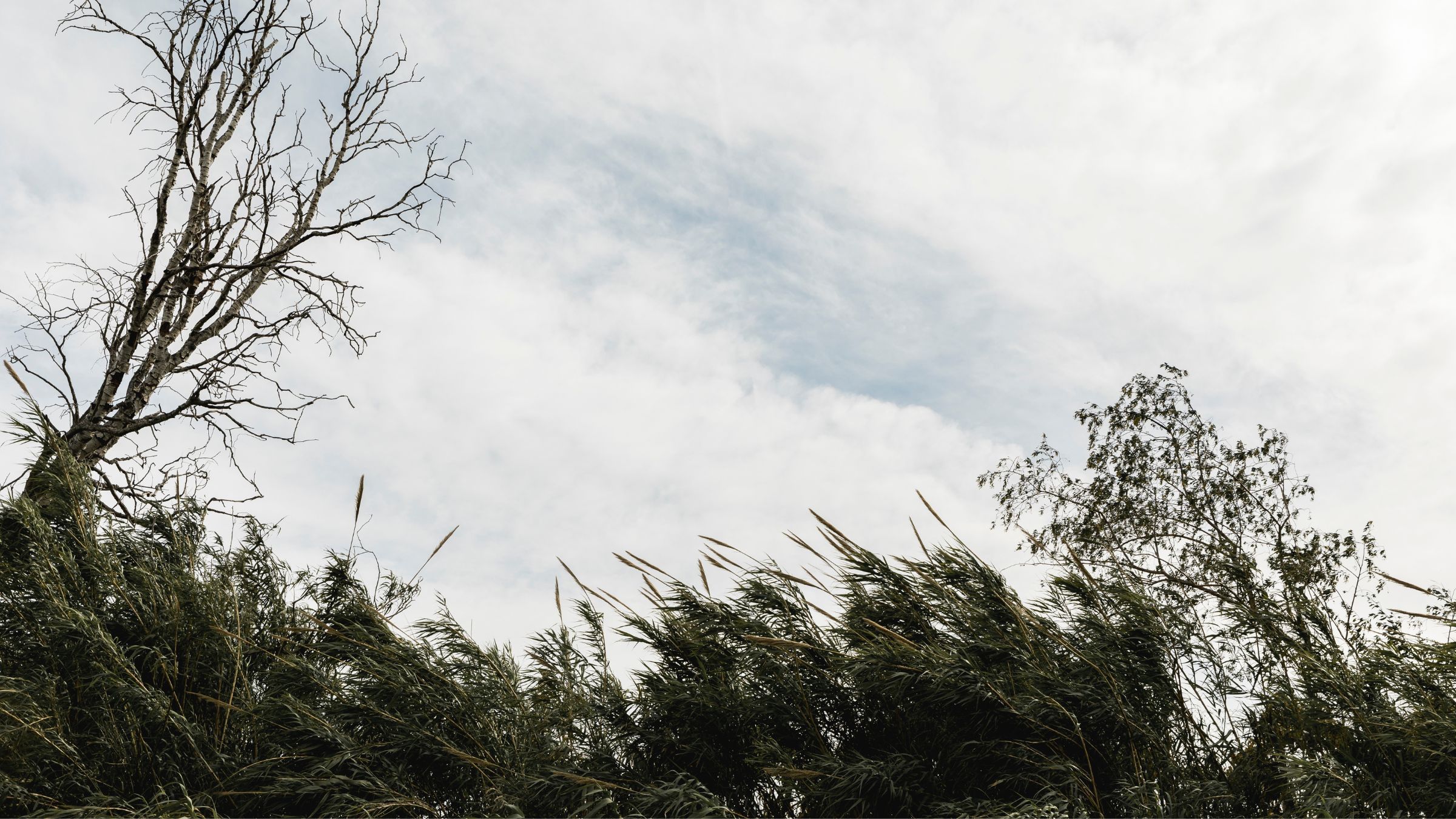 La Côte-d'Or encore en vigilance jaune vent et crues