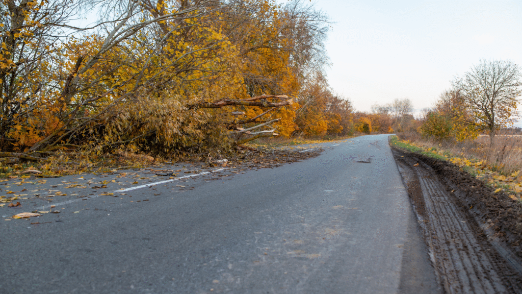 Tempête Nils : plus de 70 interventions sur les routes de Côte-d’Or