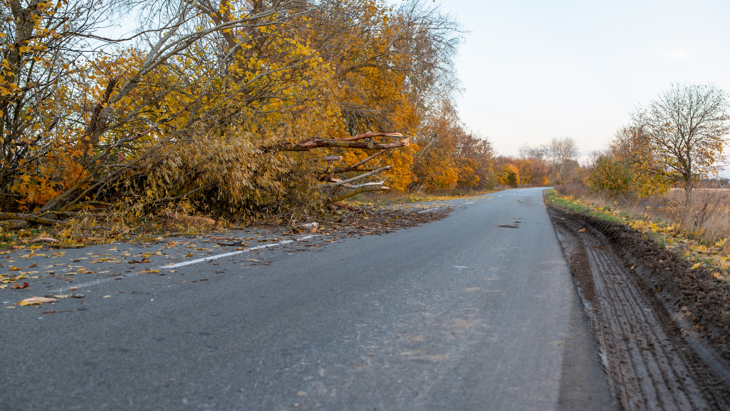 Tempête Nils : plus de 70 interventions sur les routes de Côte-d’Or