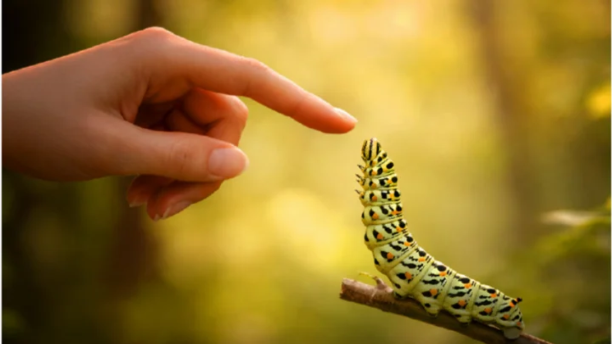 Une nouvelle exposition débarque au Jardin de l'Arquebuse