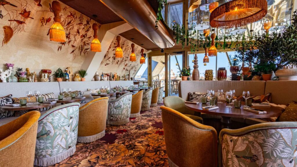 Pica-Pica : des débuts sur les chapeaux de roue