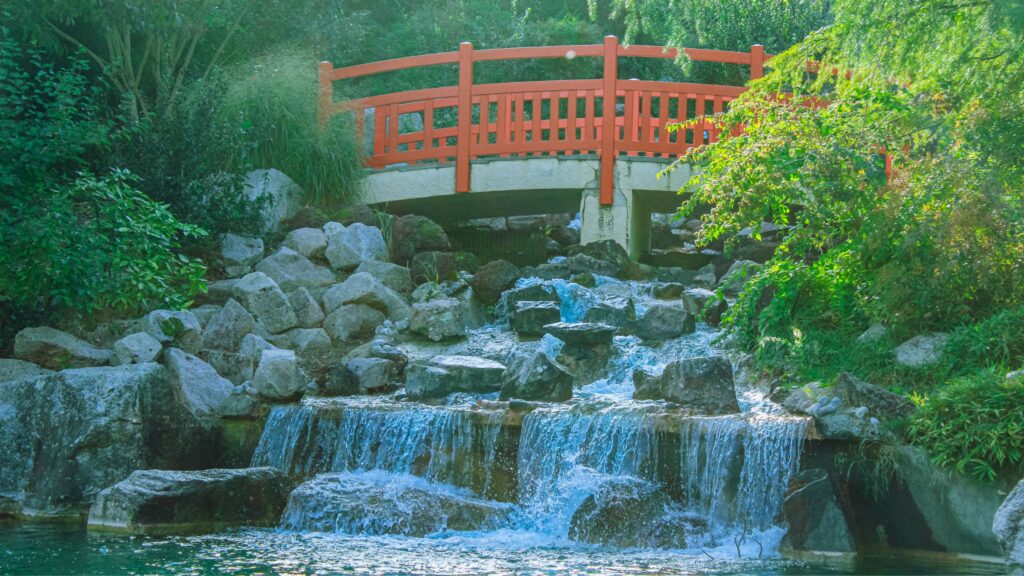 Le jardin japonais de Dijon s’agrandit avec de nouvelles surprises