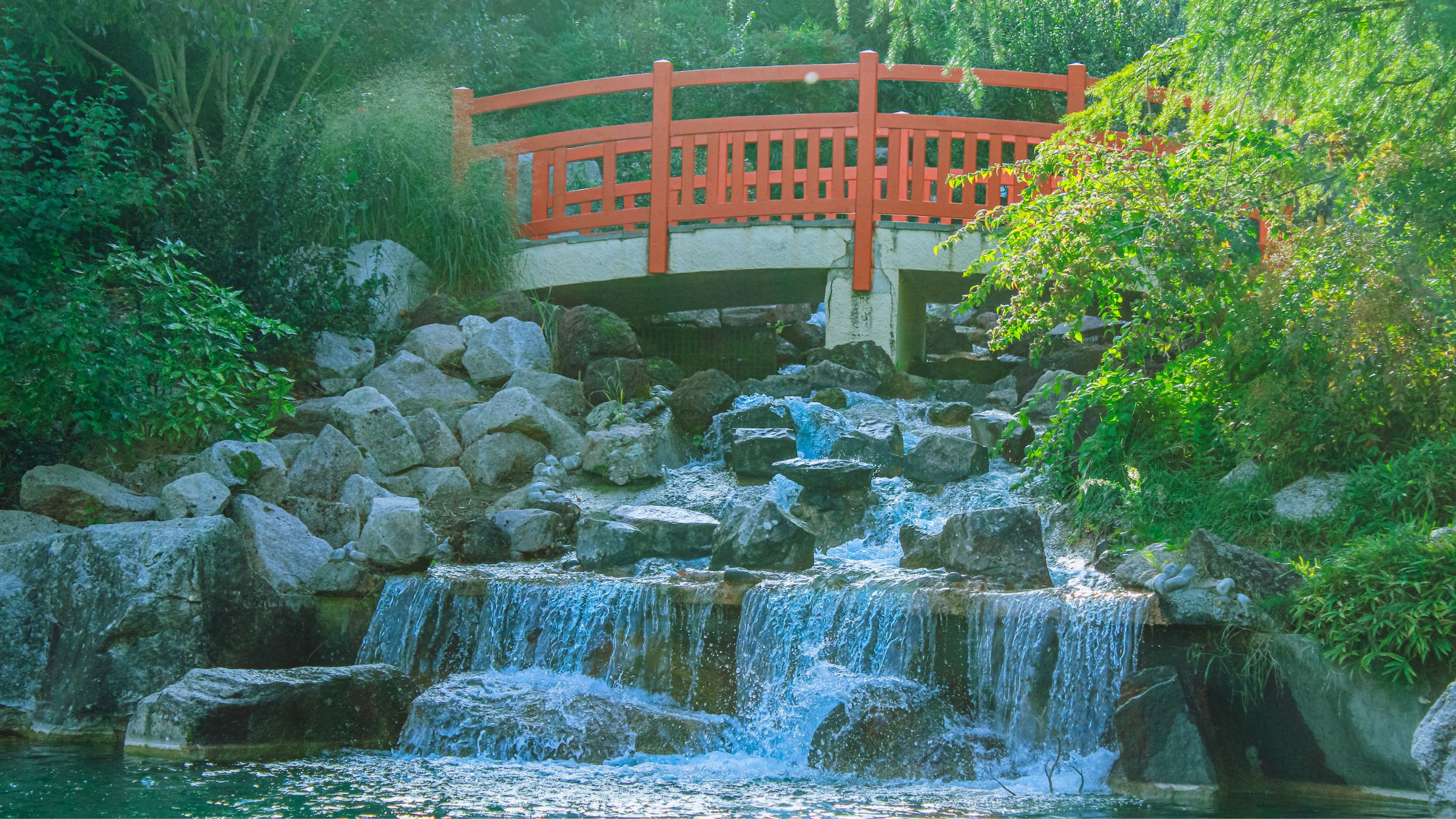 Le jardin japonais de Dijon s’agrandit avec de nouvelles surprises